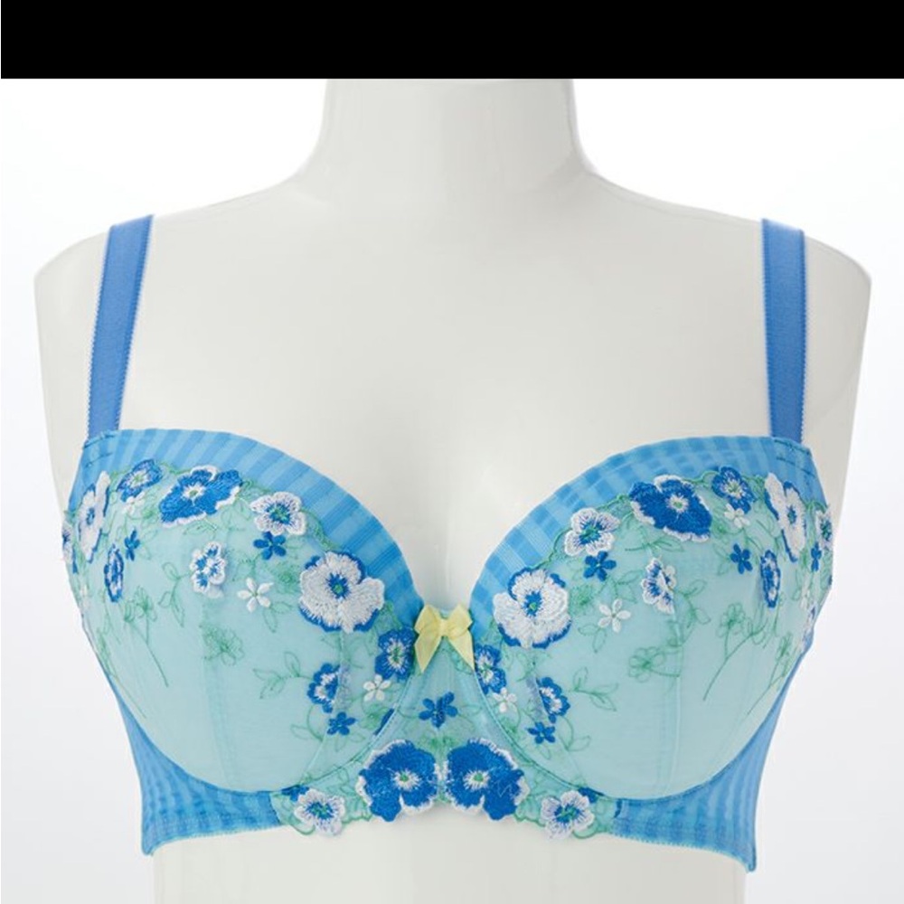 Japanese bra Rui Glamorous 70G/30DDD
NWT
Beautiful embroidery